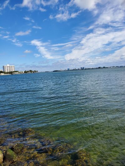 Miami Shores Village Bayfront Park - Miami Shores, FL