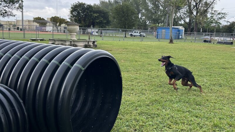 Miami Springs Dog Park - Miami Springs, FL