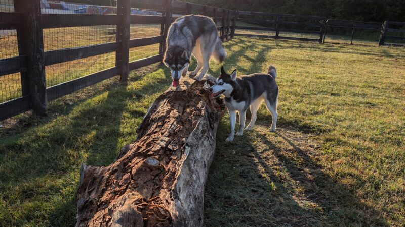Canal Run Dog Park - Miamisburg, OH