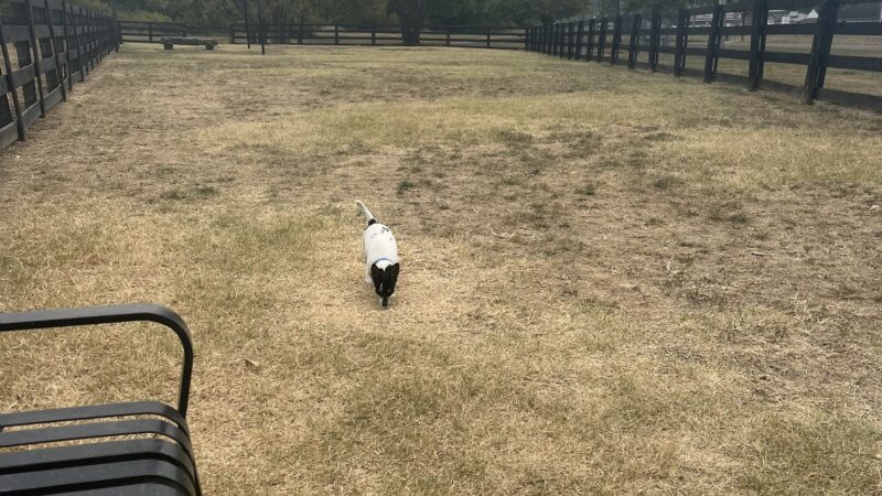 Canal Run Dog Park - Miamisburg, OH