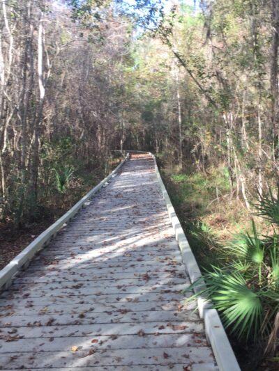 Barr Hammock Preserve - Micanopy, FL