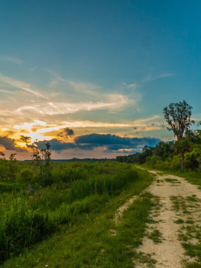 Barr Hammock Preserve - Micanopy, FL
