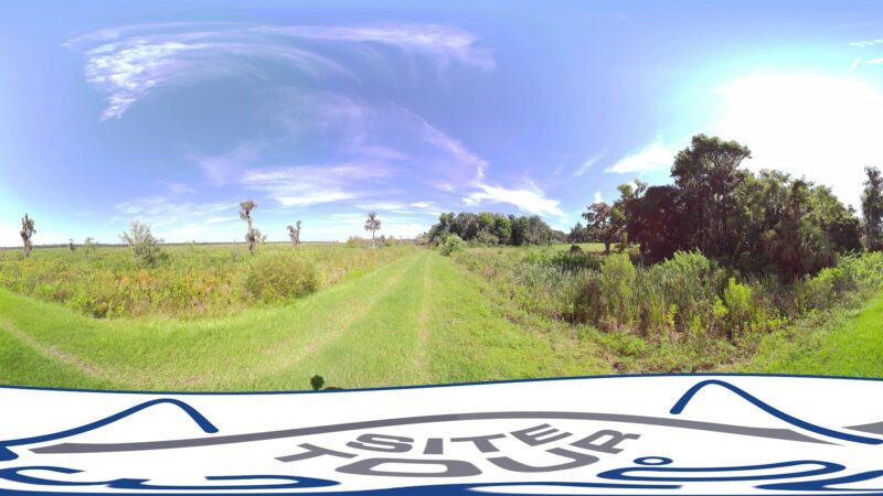 Barr Hammock Preserve - Micanopy, FL