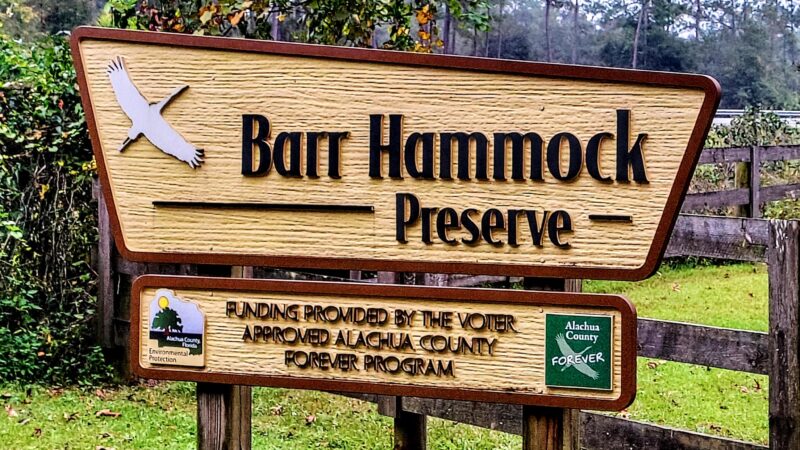 Levy Loop Trailhead - Micanopy, FL