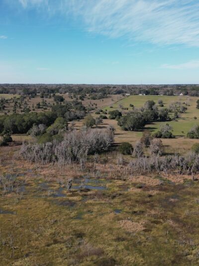 Marjorie A. Hoy Memorial Park at Orange Lake Overlook - Micanopy, FL