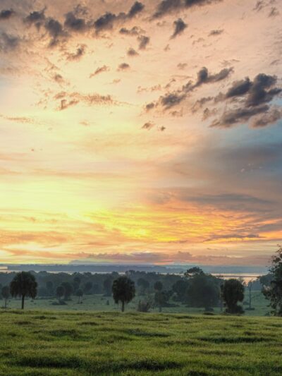 Marjorie A. Hoy Memorial Park at Orange Lake Overlook - Micanopy, FL