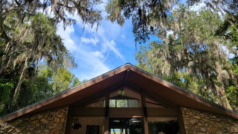 Paynes Prairie Preserve State Park - Micanopy, FL