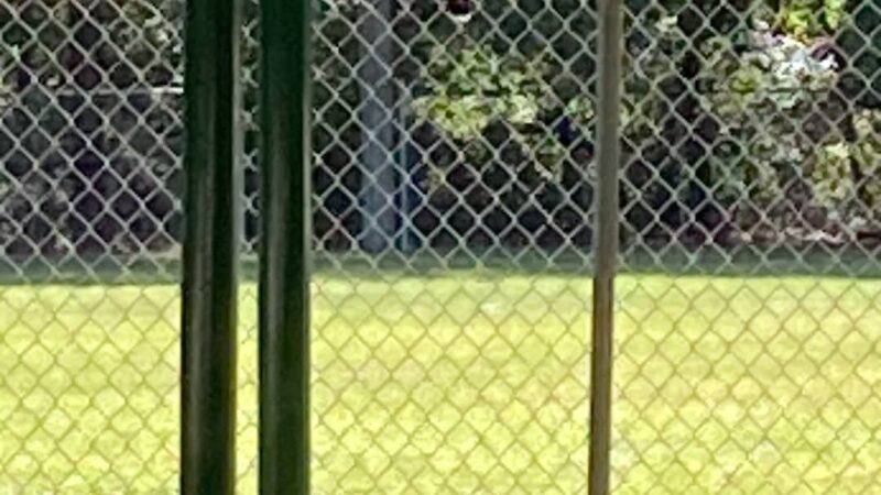 Town of Micanopy Ballpark - Micanopy, FL