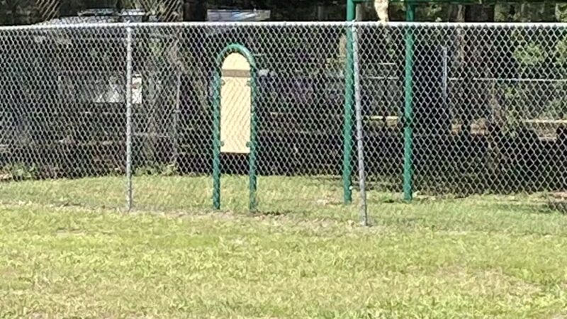 Town of Micanopy Ballpark - Micanopy, FL