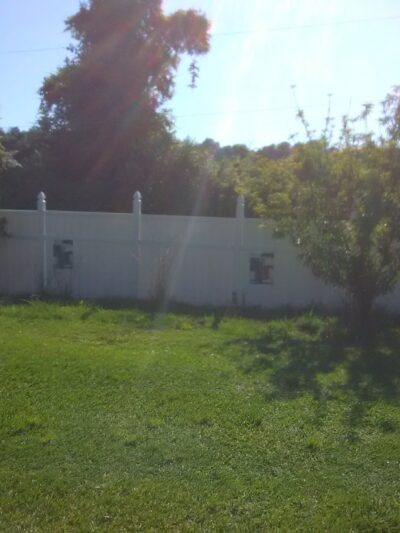 Micanopy paradise pets - ,