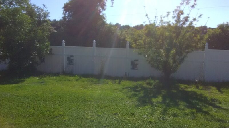 Micanopy paradise pets - ,