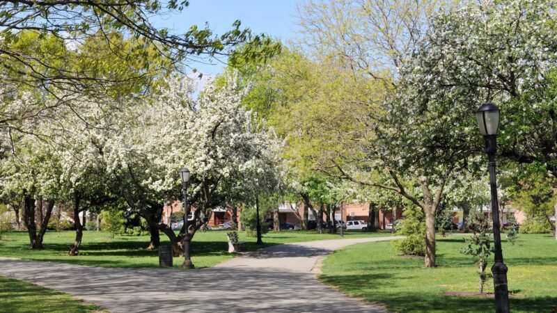 Juniper Valley Park - Middle Village, NY