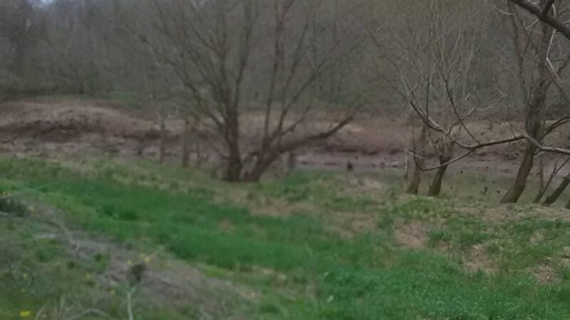 Middlebourne Park - Middlebourne, WV