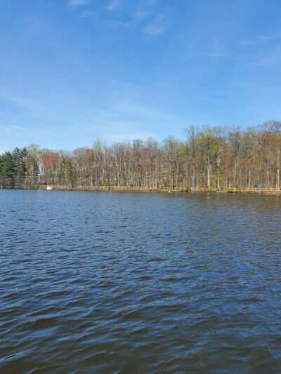 Haverstick Park - Middlesex, NJ