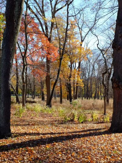 Mountainview Park - Middlesex, NJ