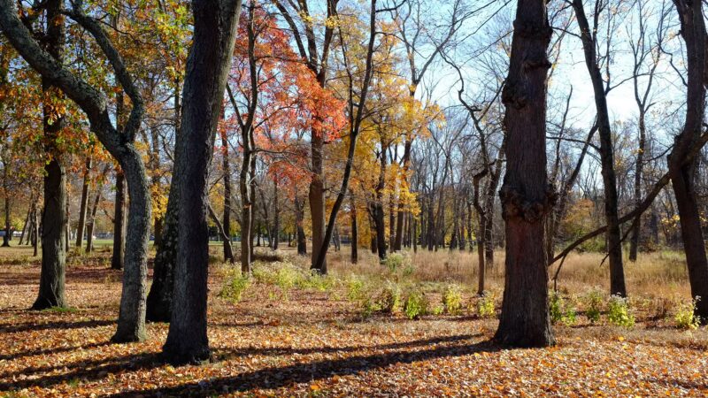 Mountainview Park - Middlesex, NJ