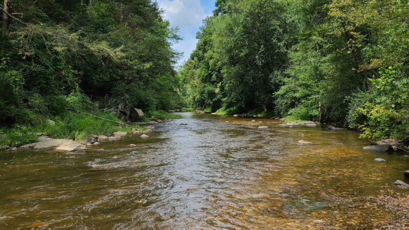 Pebble beach - Middletown, MD
