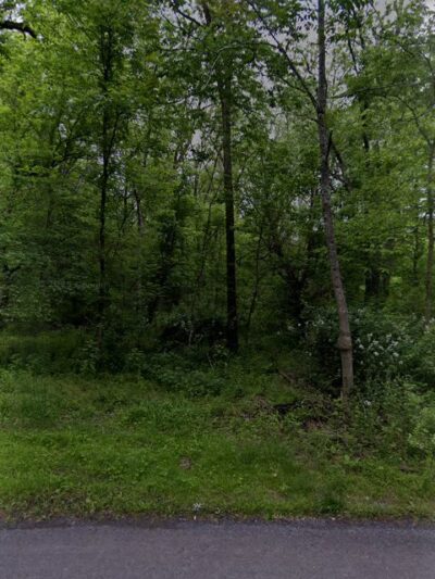 Pebble beach - Middletown, MD