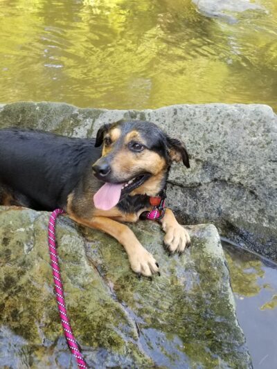 Pebble beach - Middletown, MD