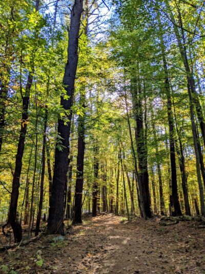 Middletown Reservoir Trails Main Parking - Middletown, NY