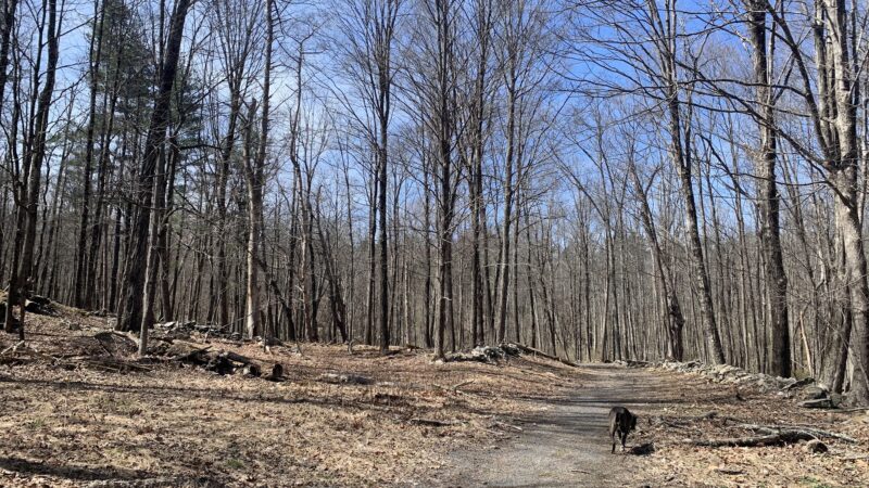 Middletown Reservoir Trails Main Parking - Middletown, NY