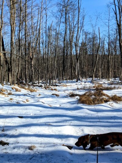 Middletown Reservoir Trails Main Parking - Middletown, NY