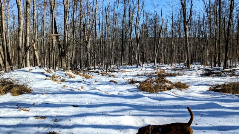 Middletown Reservoir Trails Main Parking - Middletown, NY