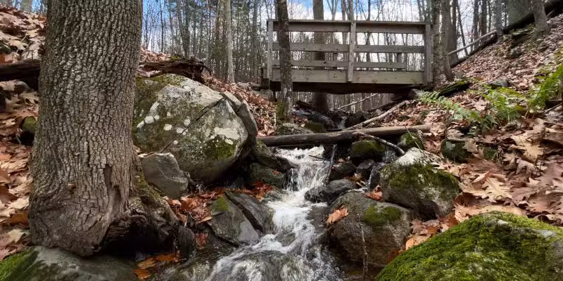 Moonbeams Preserve - Middletown, NY