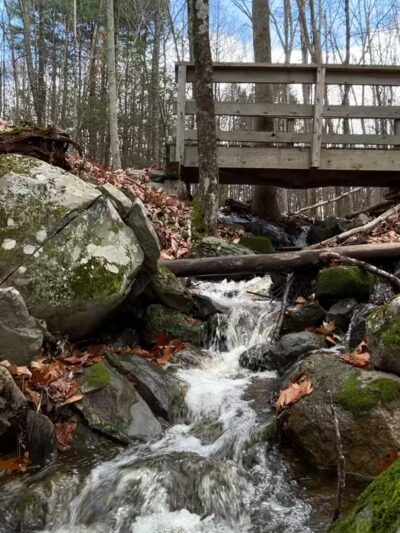 Moonbeams Preserve - Middletown, NY