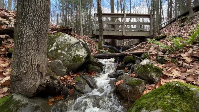 Moonbeams Preserve - Middletown, NY