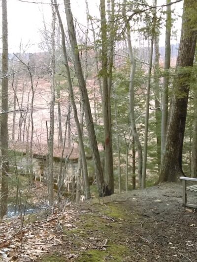 Moonbeams Preserve - Middletown, NY