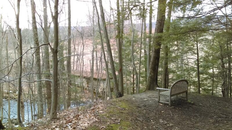 Moonbeams Preserve - Middletown, NY