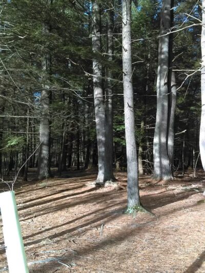 Moonbeams Preserve - Middletown, NY