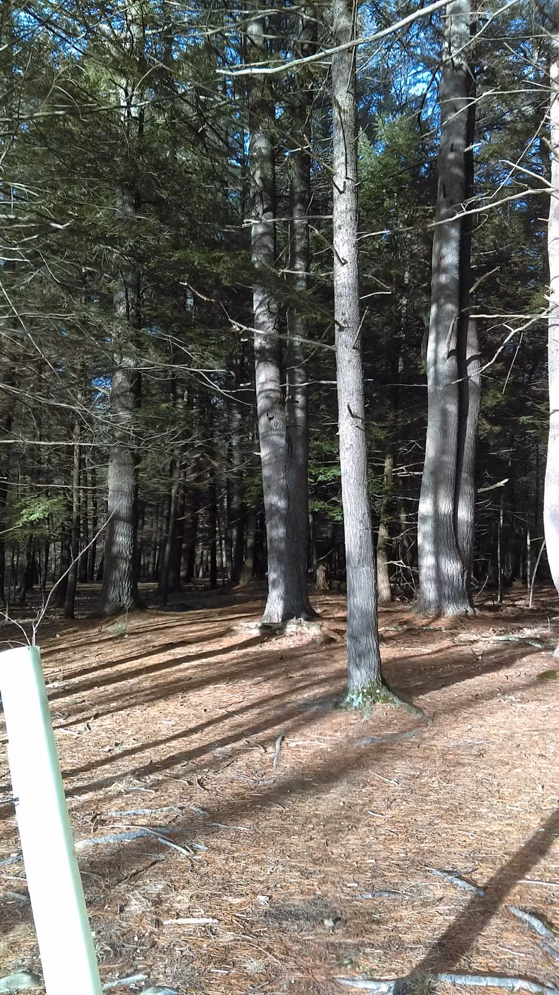 Moonbeams Preserve - Middletown, NY