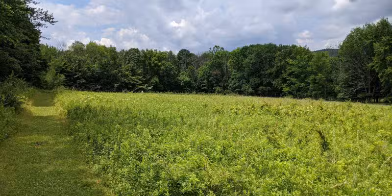 Moonbeams Preserve - Middletown, NY