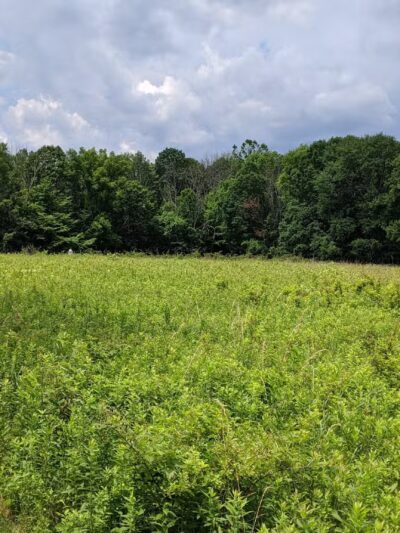 Moonbeams Preserve - Middletown, NY