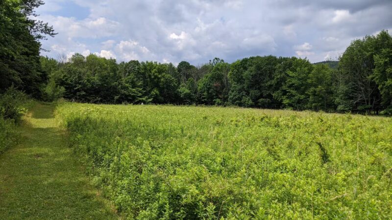 Moonbeams Preserve - Middletown, NY