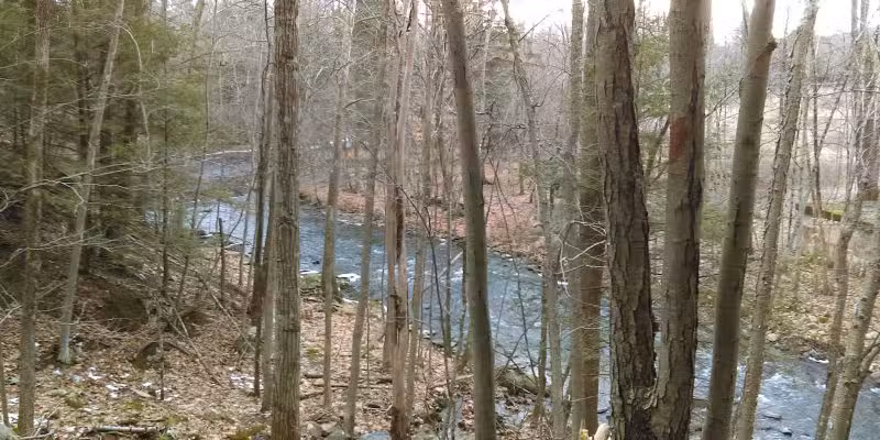 Moonbeams Preserve - Middletown, NY