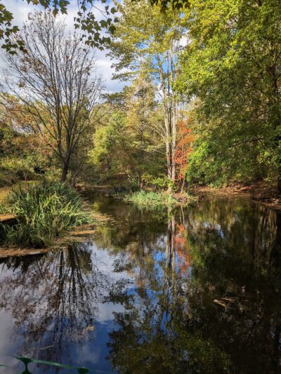 Poricy Park Nature Center - Middletown Township, NJ