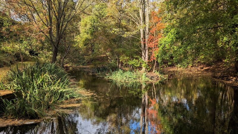 Poricy Park Nature Center - Middletown Township, NJ