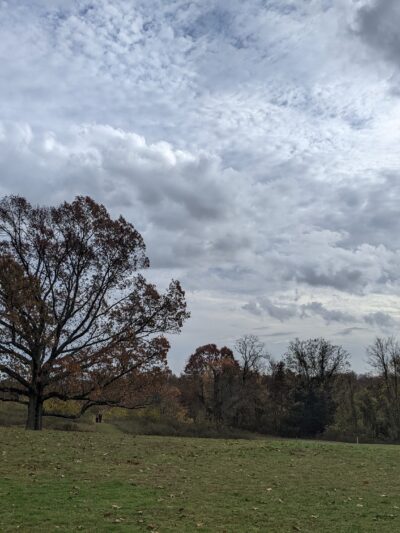 Poricy Park Nature Center - Middletown Township, NJ