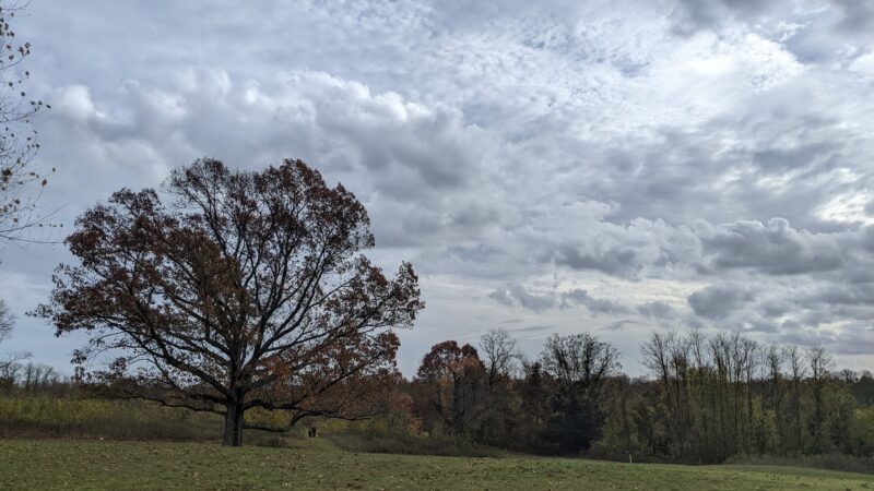Poricy Park Nature Center - Middletown Township, NJ