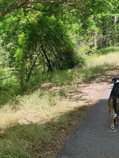 High Ore Line Trail - Midfield, AL