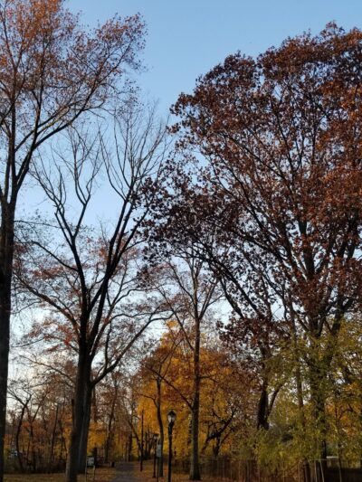 Borough of Midland Park Park - Midland Park, NJ