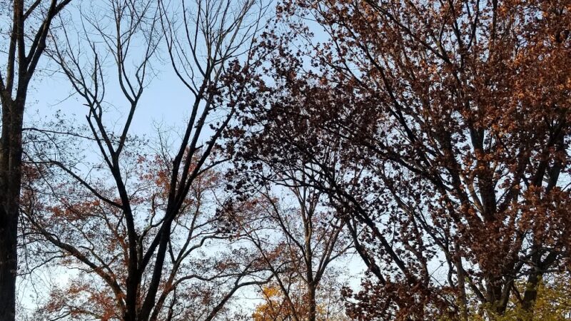 Borough of Midland Park Park - Midland Park, NJ