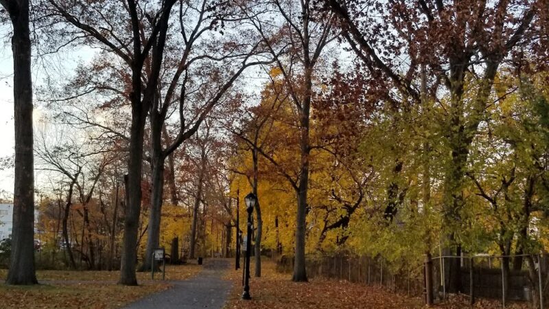 Borough of Midland Park Park - Midland Park, NJ