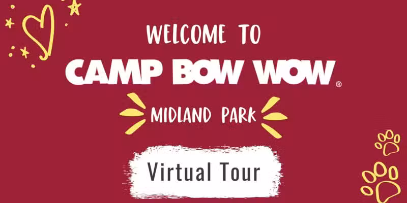 Camp Bow Wow - Midland Park, NJ