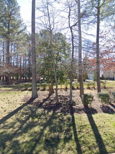 Haveridge Park - Midlothian, VA