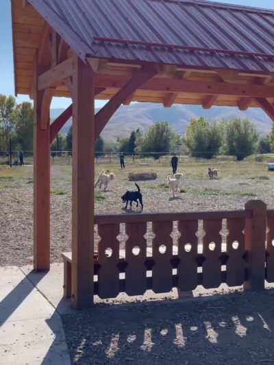 Midway Dog Park - Midway, UT