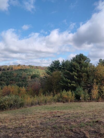 Moist Run Park - Mifflintown, PA